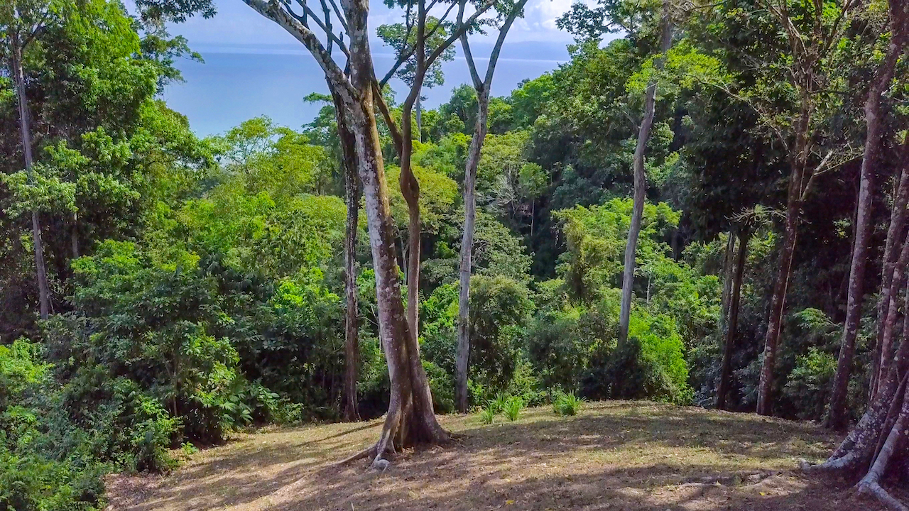 4 bed Single Family Homes For Sale in Cabo Matapalo, Puntarenas - thumb 13