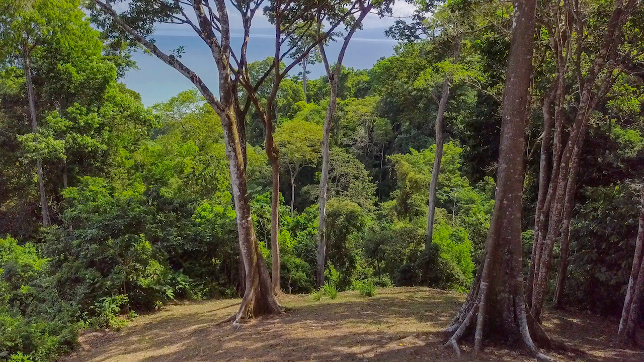 4 bed Single Family Homes For Sale in Cabo Matapalo, Puntarenas - thumb 11