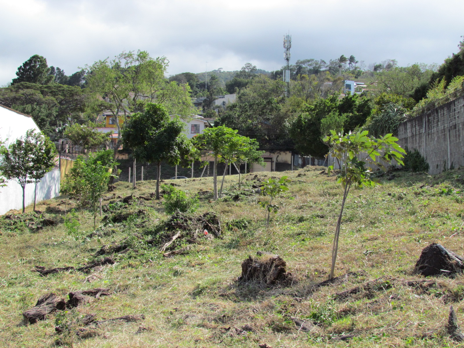 0 bed Land For Sale in Escazu, San Jose - thumb 7