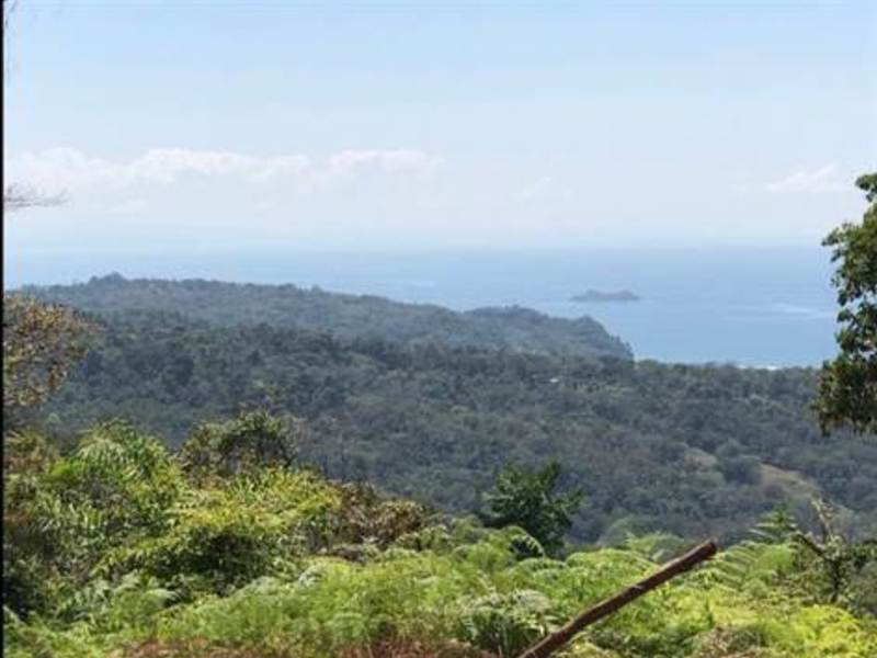 0 bed Land For Sale in Ojochal, Puntarenas - 1