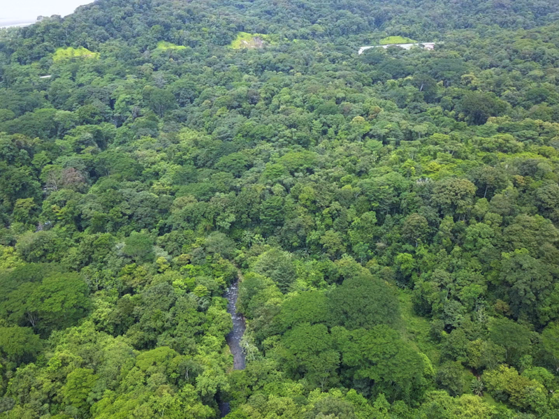 0 bed Land For Sale in Ojochal, Puntarenas - 1