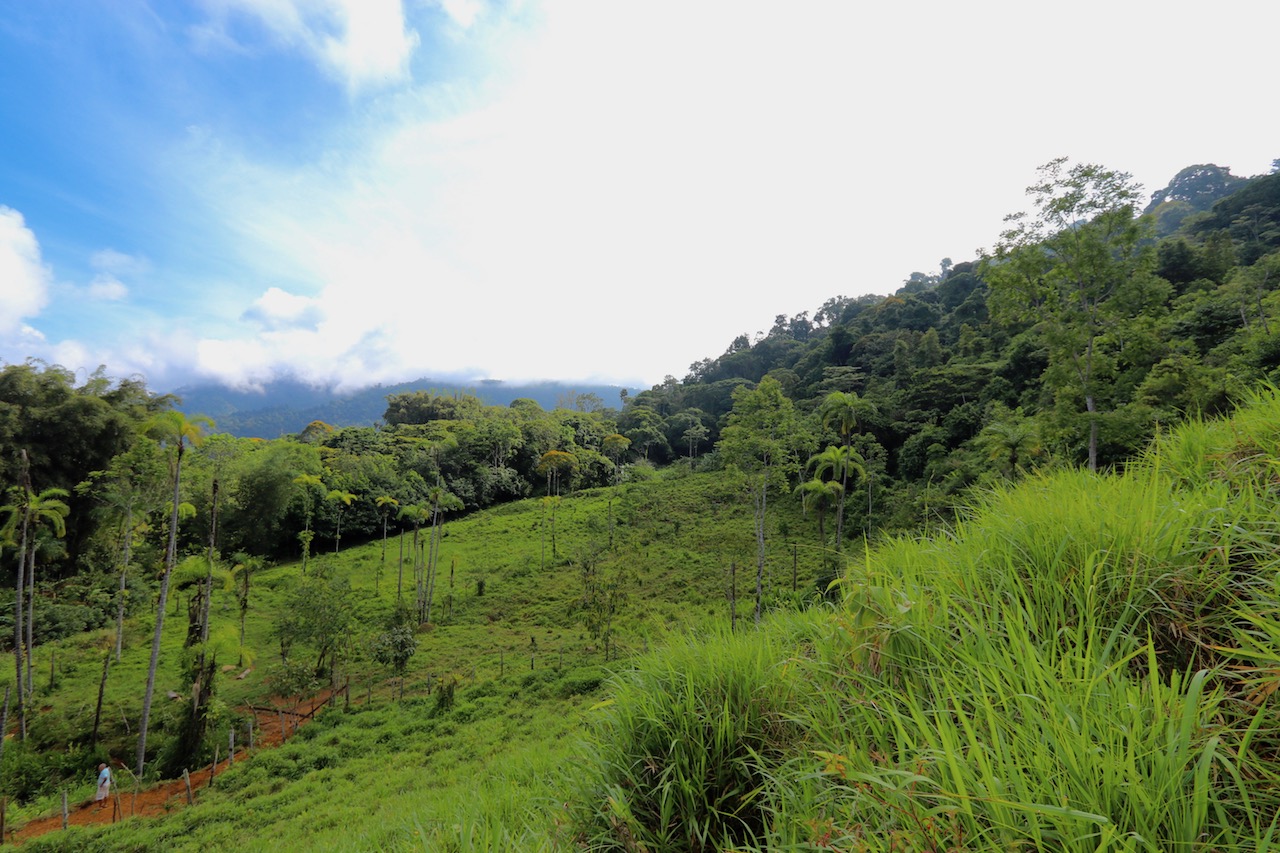 0 bed Land For Sale in Dominical, Puntarenas - thumb 2