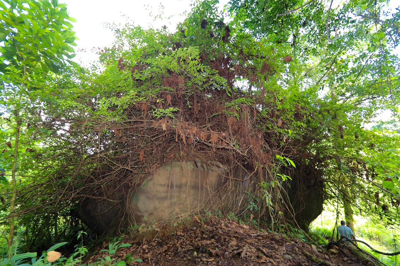 0 bed Land For Sale in Dominical, Puntarenas - thumb 10