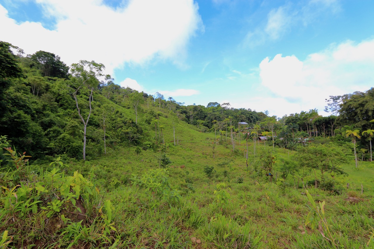 0 bed Land For Sale in Dominical, Puntarenas - thumb 4