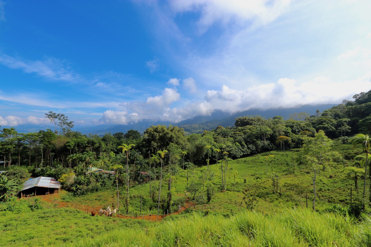 0 bed Land For Sale in Dominical, Puntarenas - thumb 5