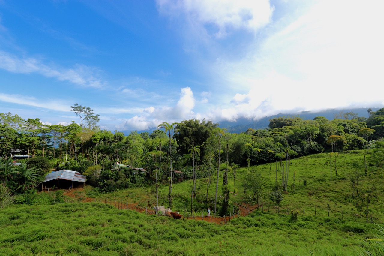 0 bed Land For Sale in Dominical, Puntarenas - thumb 11