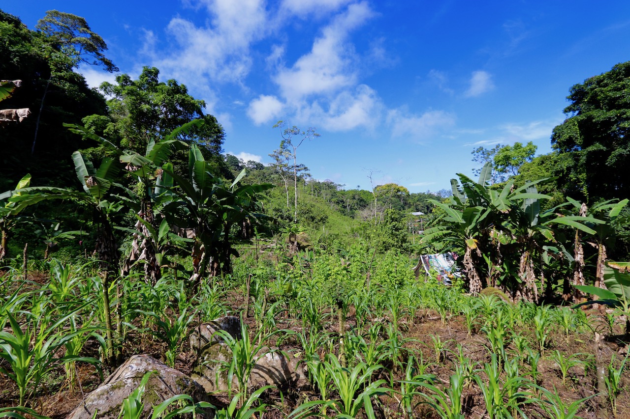 0 bed Land For Sale in Dominical, Puntarenas - thumb 9