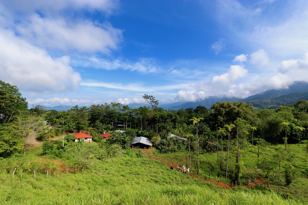 0 bed Land For Sale in Dominical, Puntarenas - thumb 12