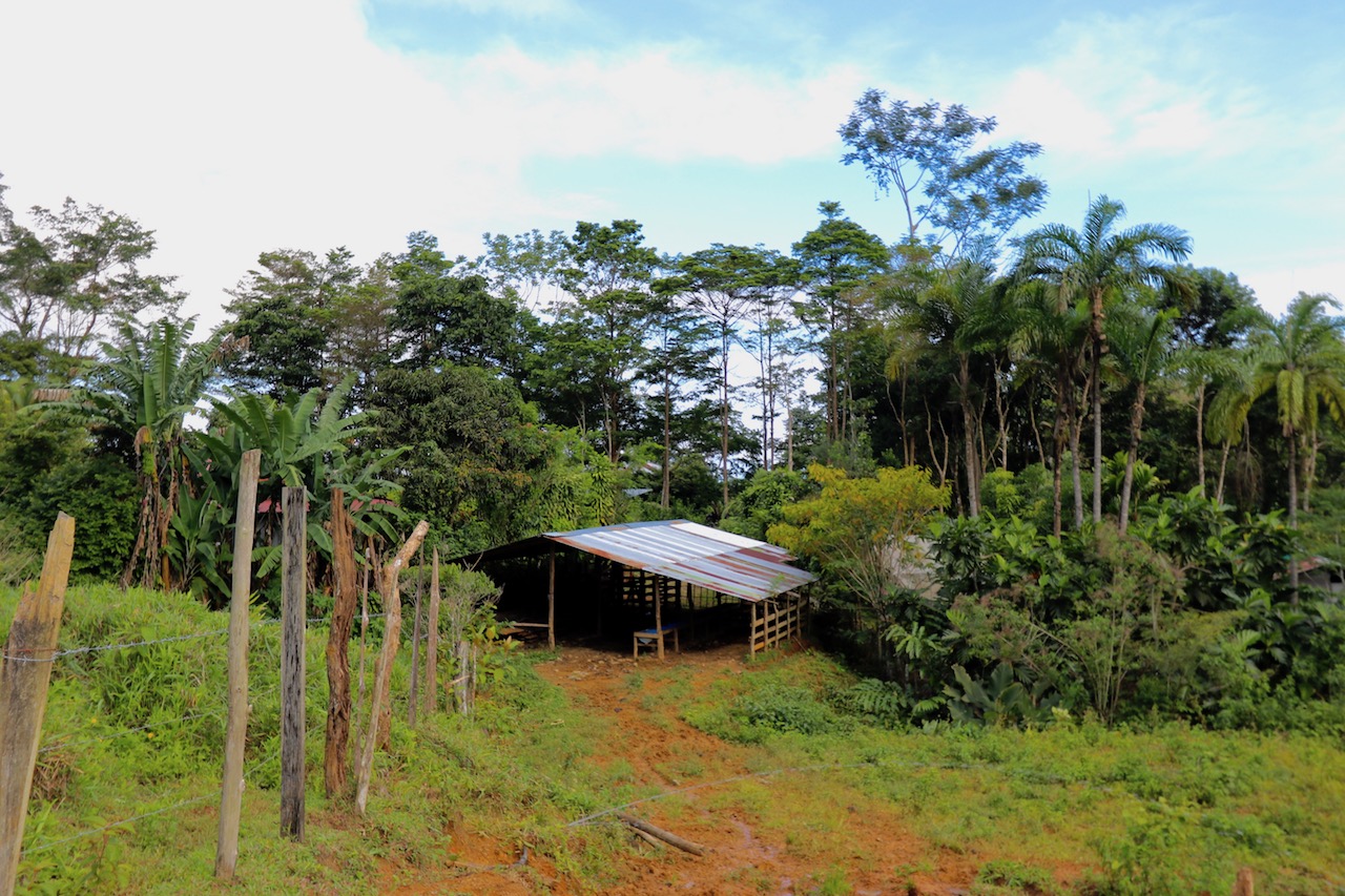 0 bed Land For Sale in Dominical, Puntarenas - thumb 13