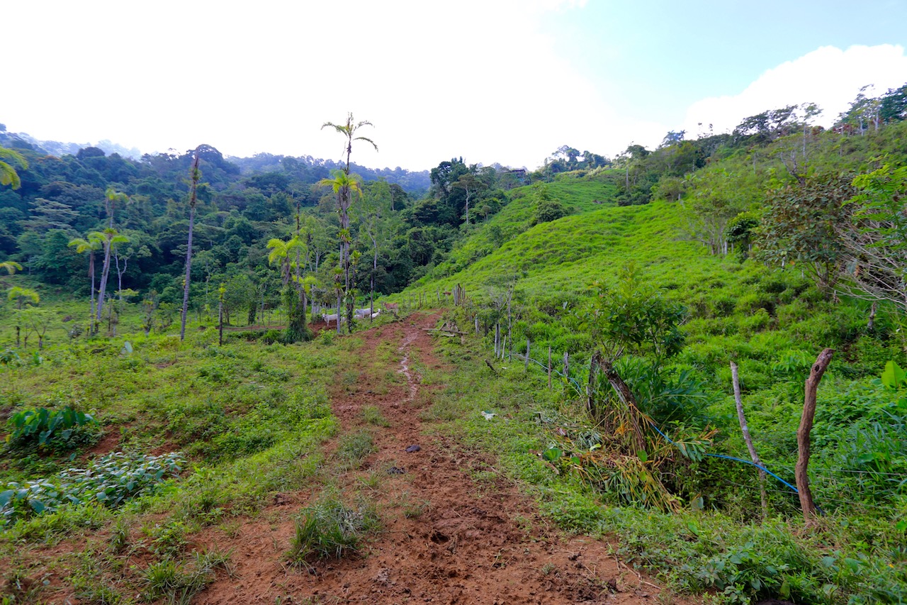 0 bed Land For Sale in Dominical, Puntarenas - thumb 14