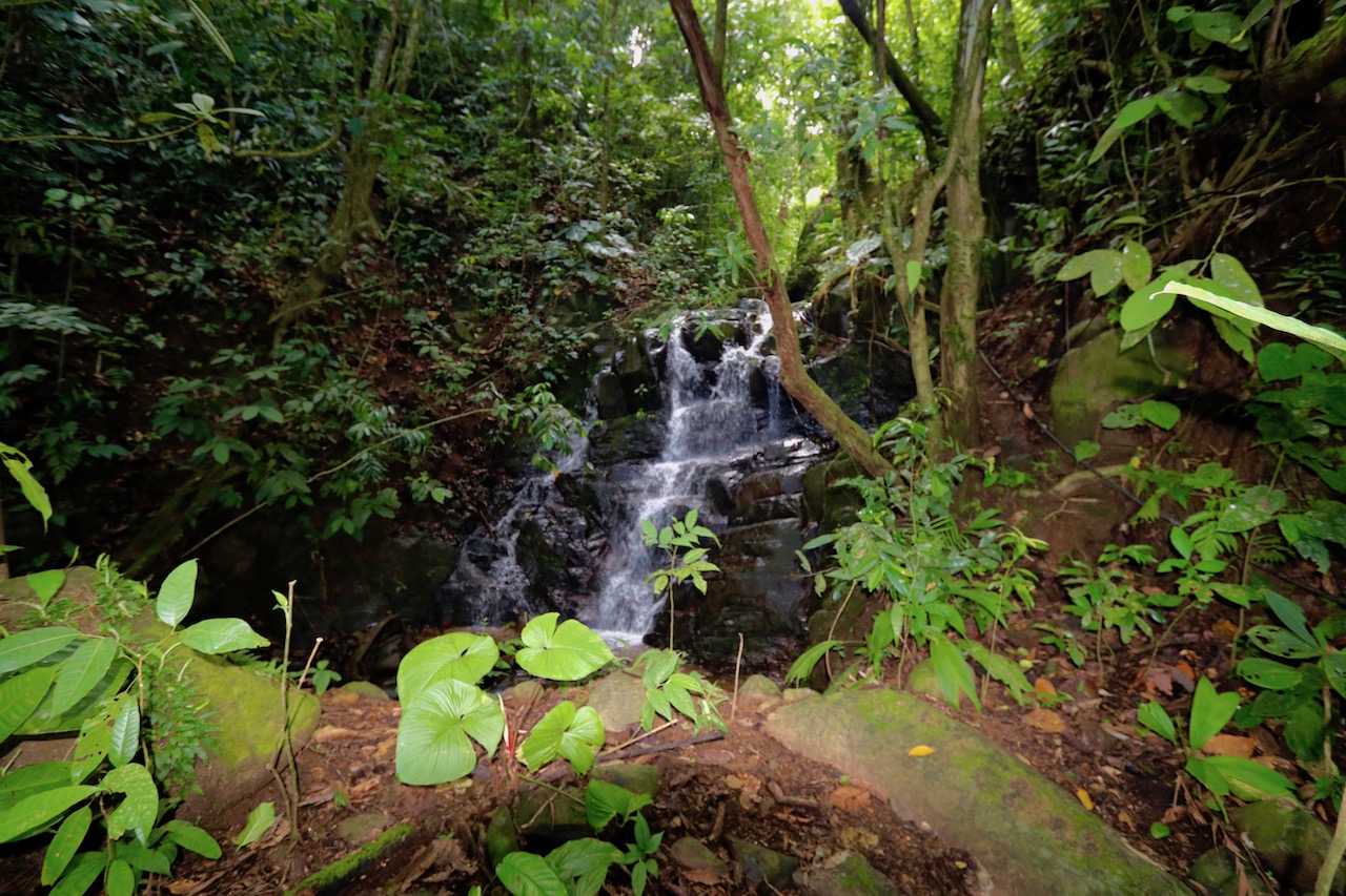 0 bed Land For Sale in Dominical, Puntarenas - thumb 1