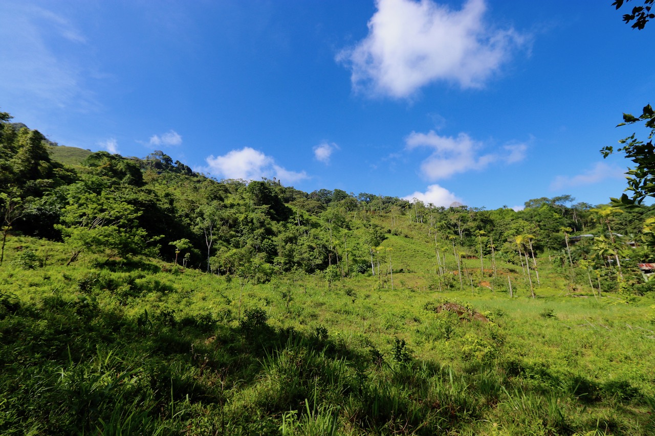 0 bed Land For Sale in Dominical, Puntarenas - thumb 3