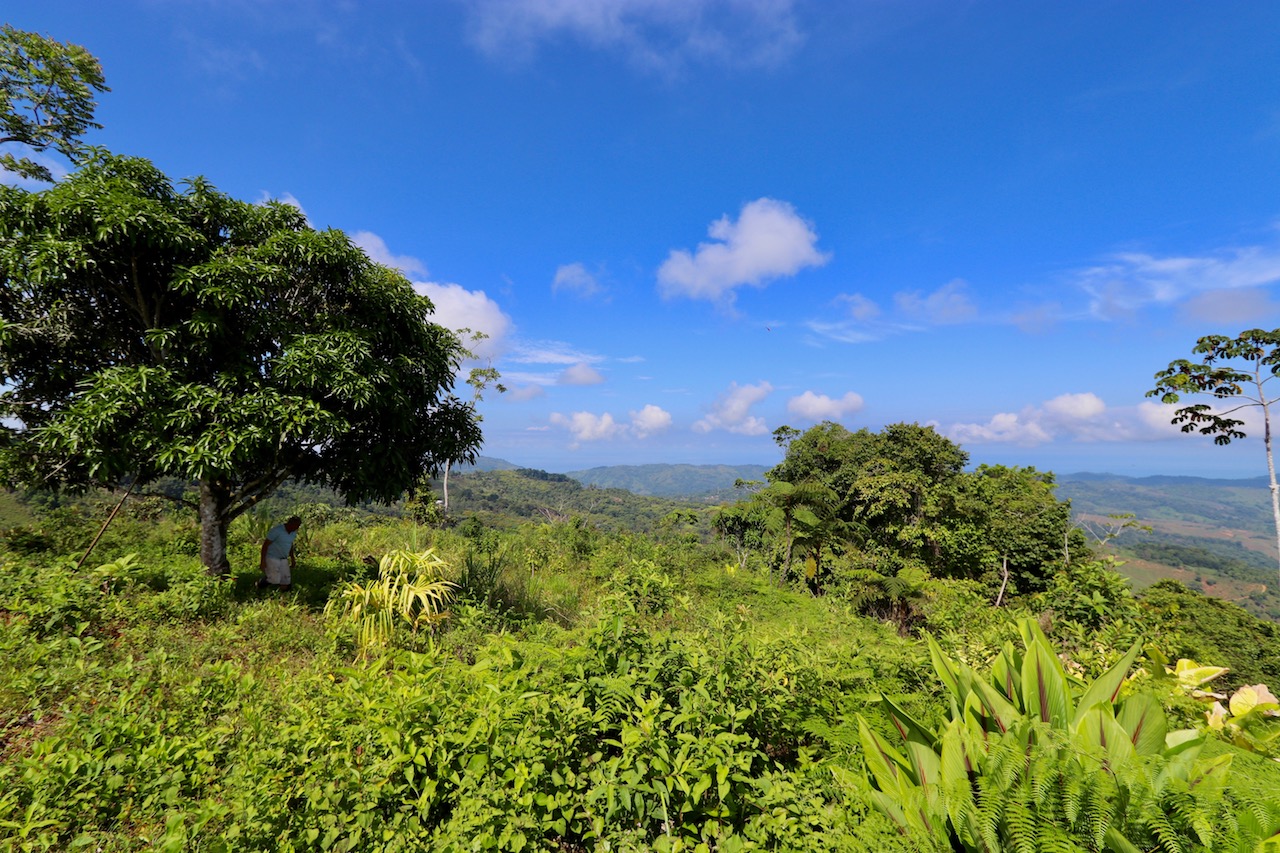 0 bed Land For Sale in Dominical, Puntarenas - thumb 15