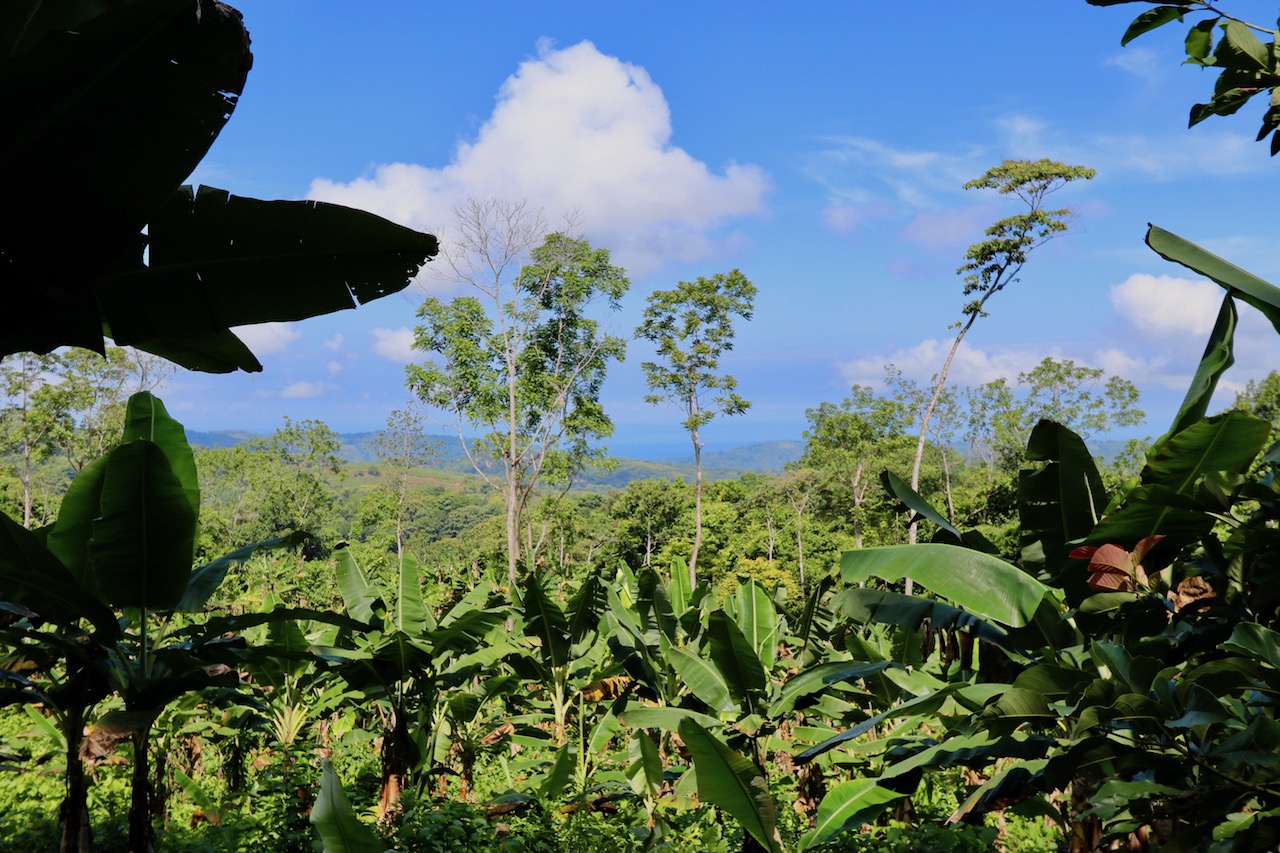 0 bed Land For Sale in Dominical, Puntarenas - thumb 9