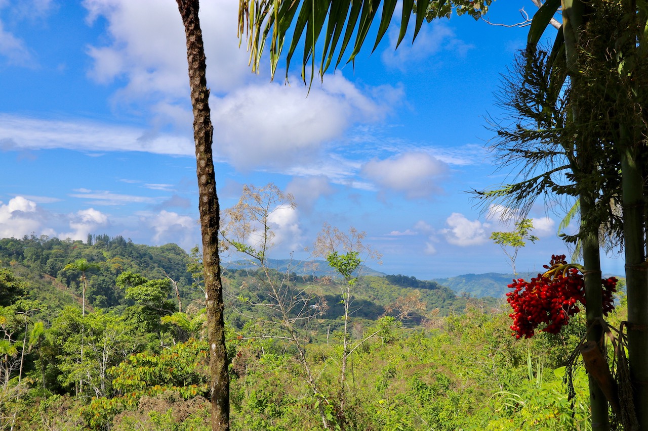 0 bed Land For Sale in Dominical, Puntarenas - thumb 1