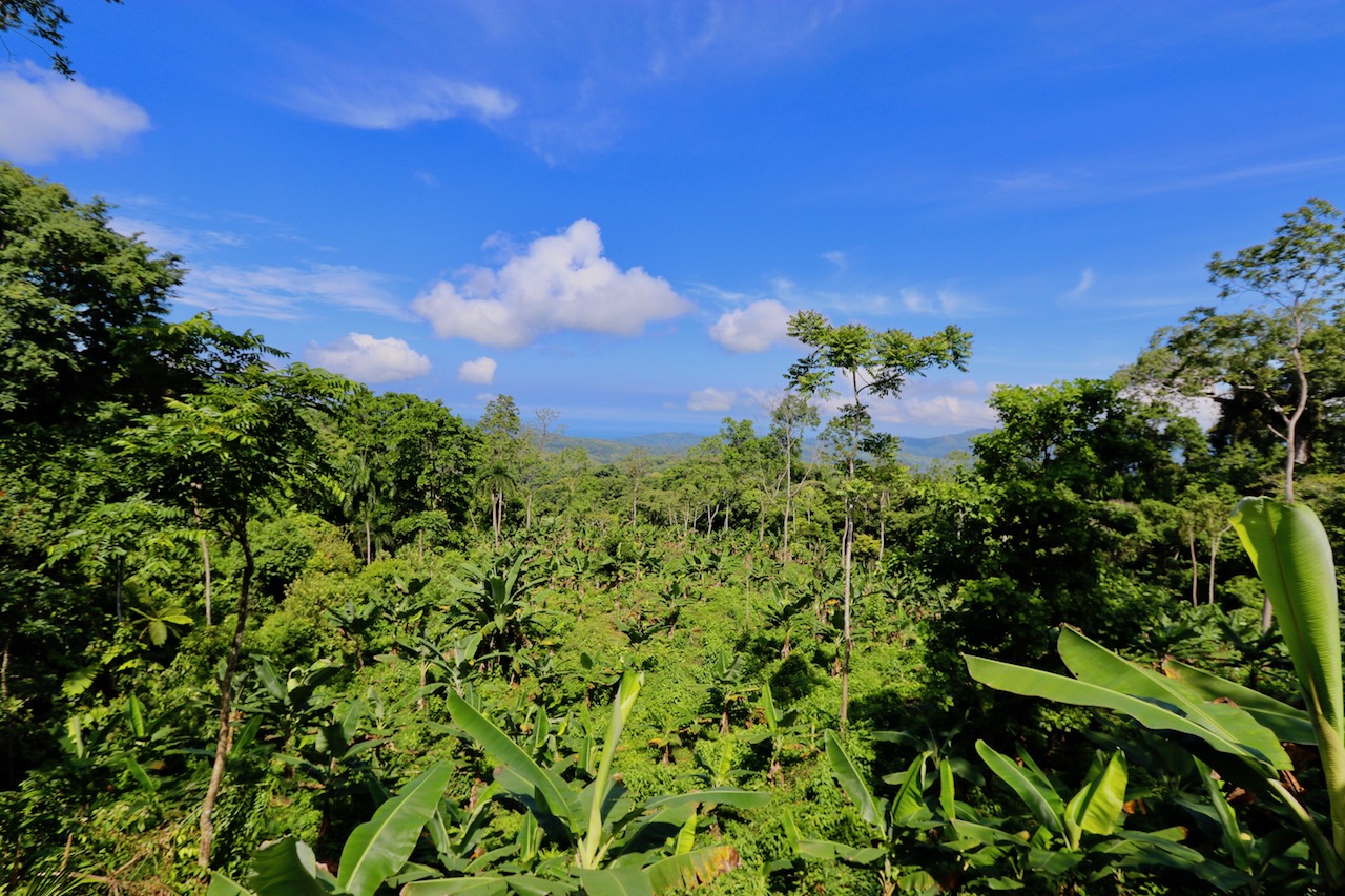 0 bed Land For Sale in Dominical, Puntarenas - thumb 14