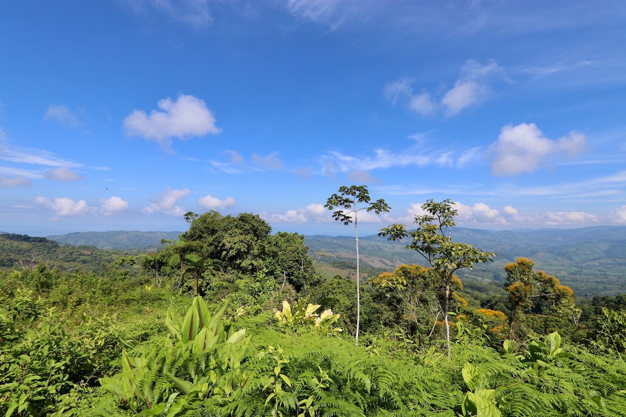 0 bed Land For Sale in Dominical, Puntarenas - thumb 13