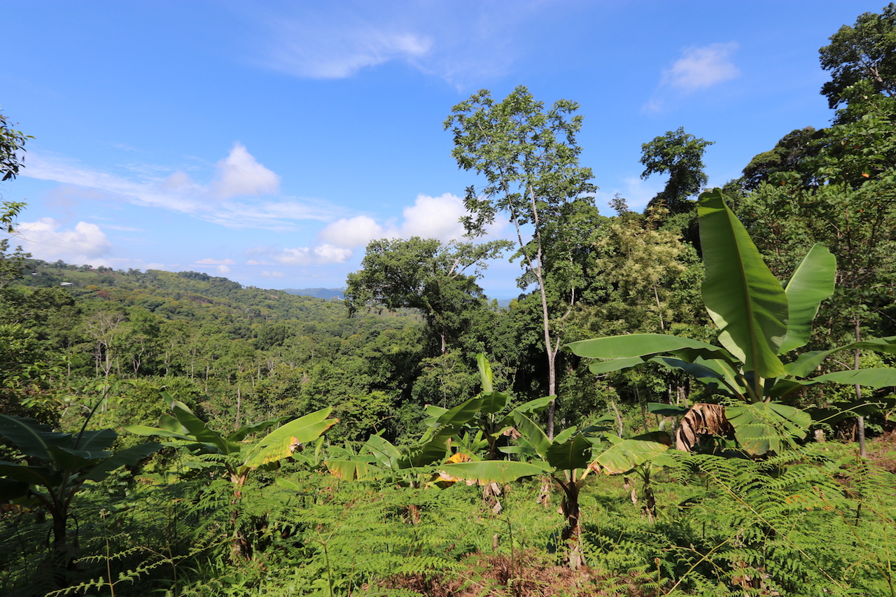 0 bed Land For Sale in Dominical, Puntarenas - thumb 7