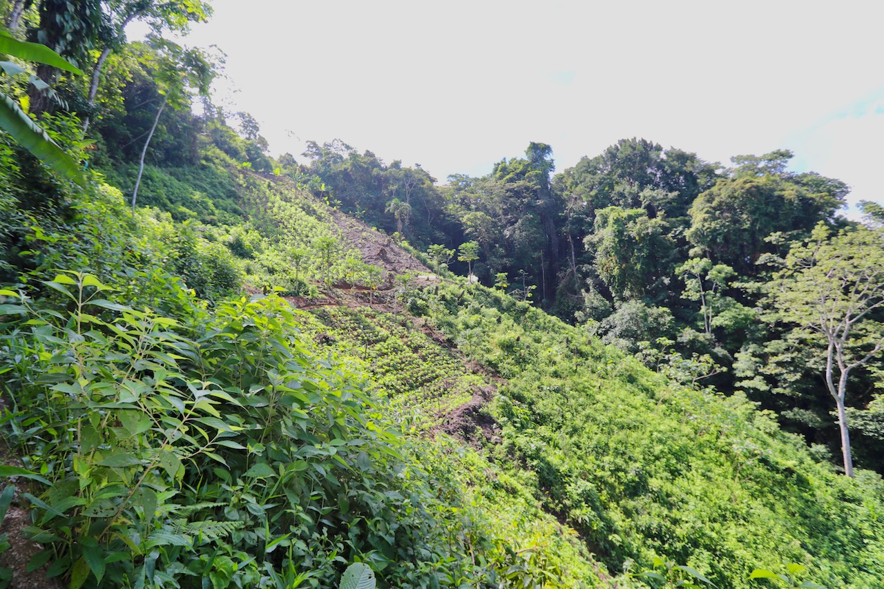 0 bed Land For Sale in Dominical, Puntarenas - thumb 6