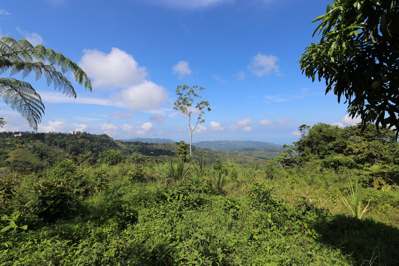 0 bed Land For Sale in Dominical, Puntarenas - thumb 5