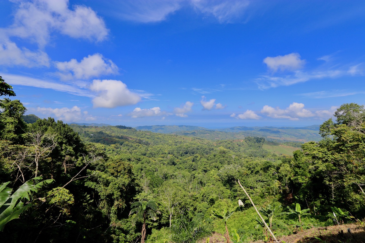 0 bed Land For Sale in Dominical, Puntarenas - thumb 3