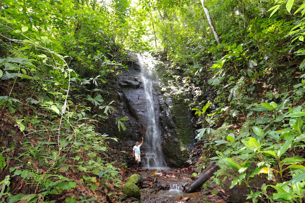 0 bed Land For Sale in Dominical, Puntarenas - thumb 2