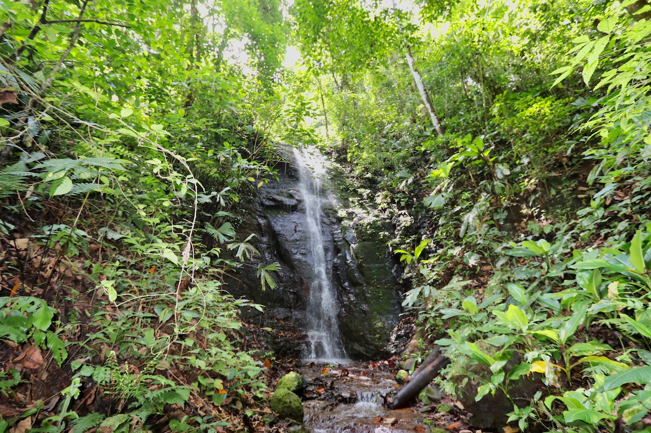 0 bed Land For Sale in Dominical, Puntarenas - thumb 11