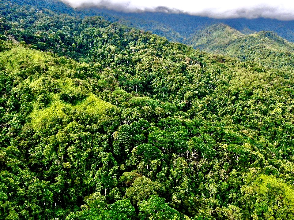 0 bed Land For Sale in Uvita, Puntarenas - thumb 21