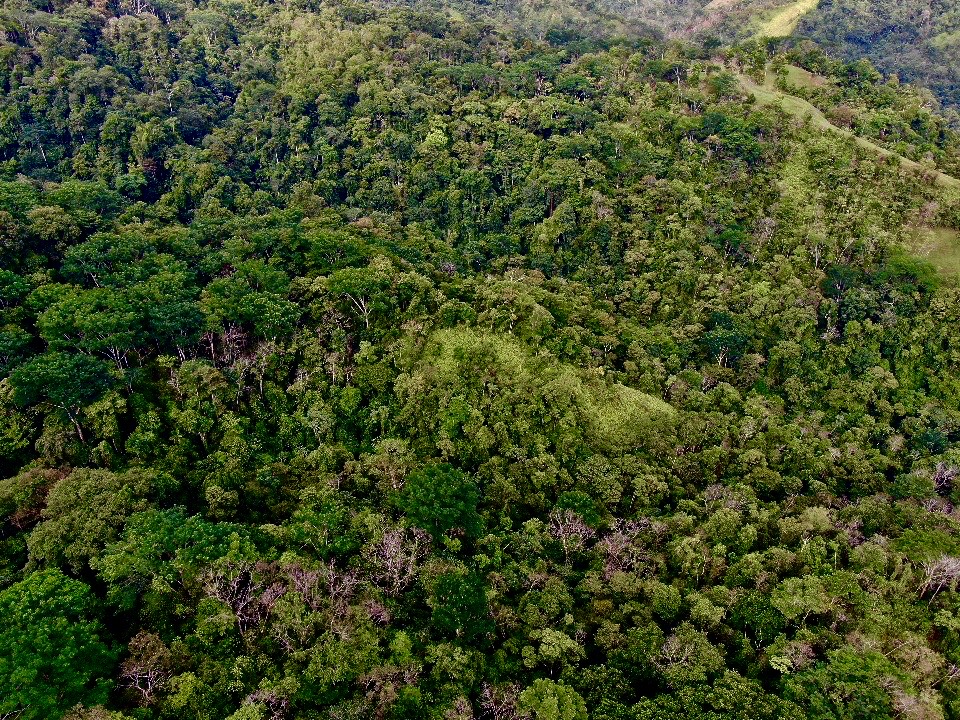 0 bed Land For Sale in Uvita, Puntarenas - thumb 22