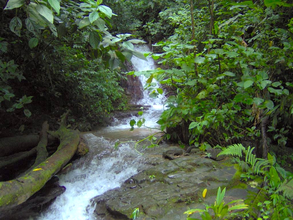 0 bed Land For Sale in Uvita, Puntarenas - thumb 24