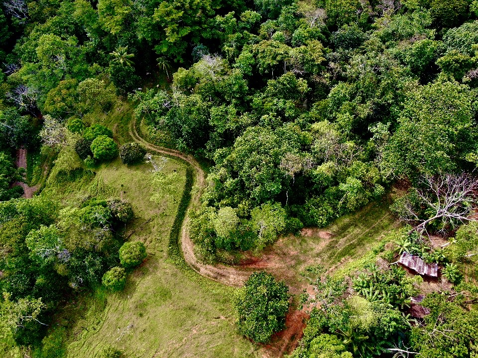 0 bed Land For Sale in Uvita, Puntarenas - thumb 19