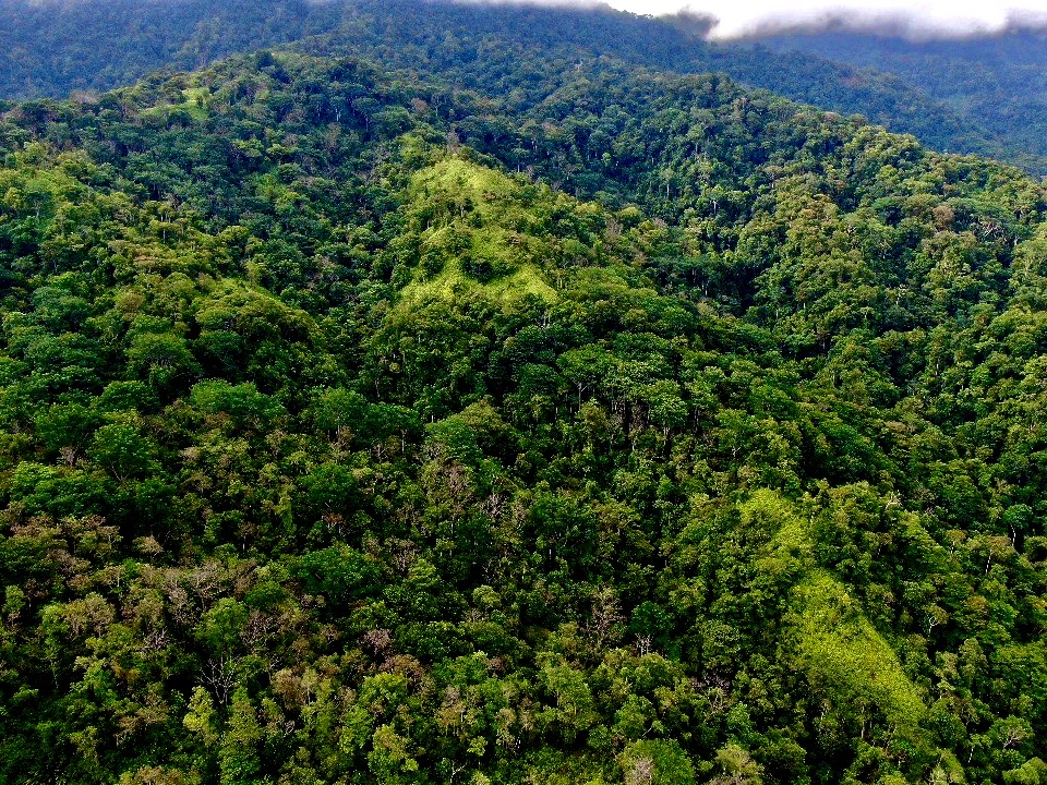 0 bed Land For Sale in Uvita, Puntarenas - thumb 20
