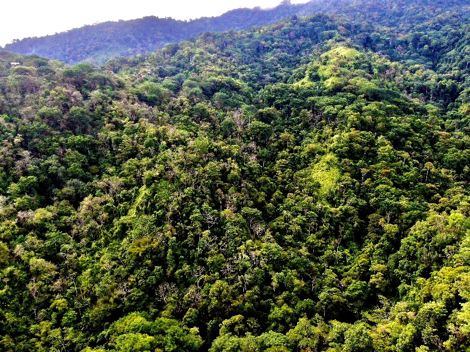 0 bed Land For Sale in Uvita, Puntarenas - thumb 18