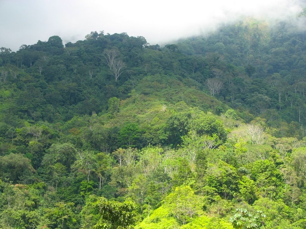 0 bed Land For Sale in Uvita, Puntarenas - thumb 16