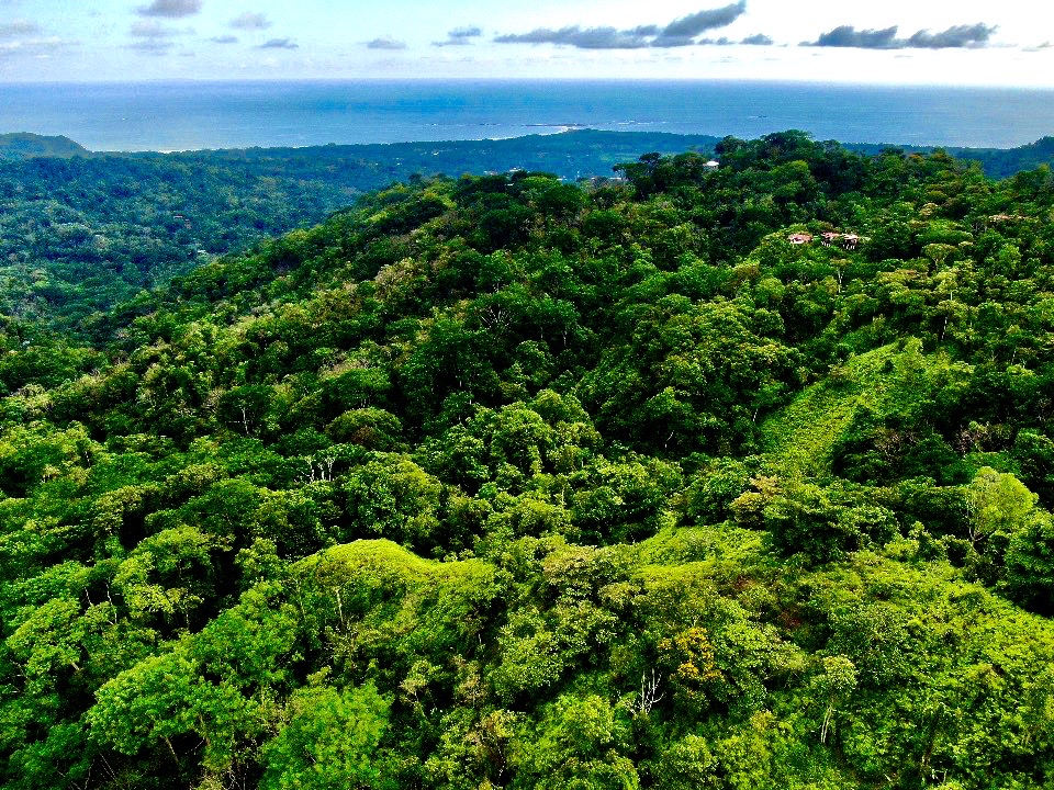 0 bed Land For Sale in Uvita, Puntarenas - thumb 23