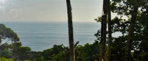 4 bed Single Family Homes For Sale in Dominical, Puntarenas - thumb 17