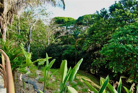4 bed Single Family Homes For Sale in Dominical, Puntarenas - thumb 18