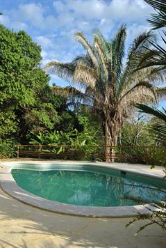 4 bed Single Family Homes For Sale in Dominical, Puntarenas - thumb 19