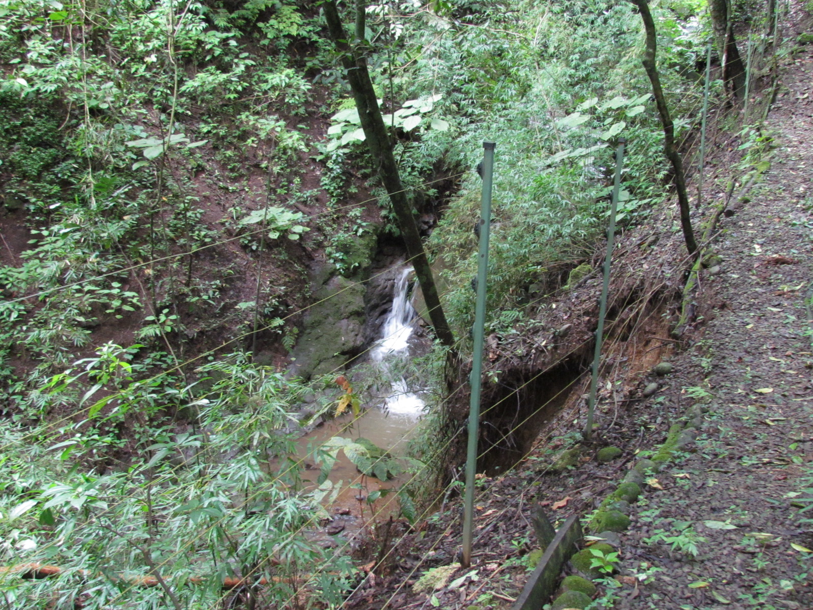 0 bed Land For Sale in Ciudad Colon, San Jose - thumb 4