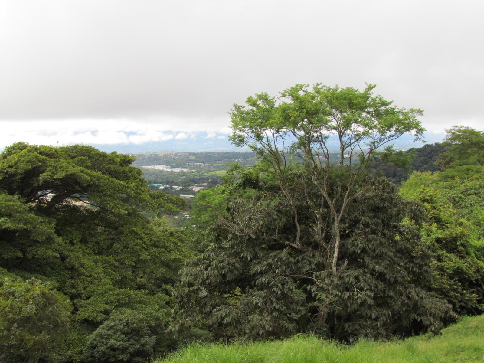 0 bed Land For Sale in Ciudad Colon, San Jose - thumb 3