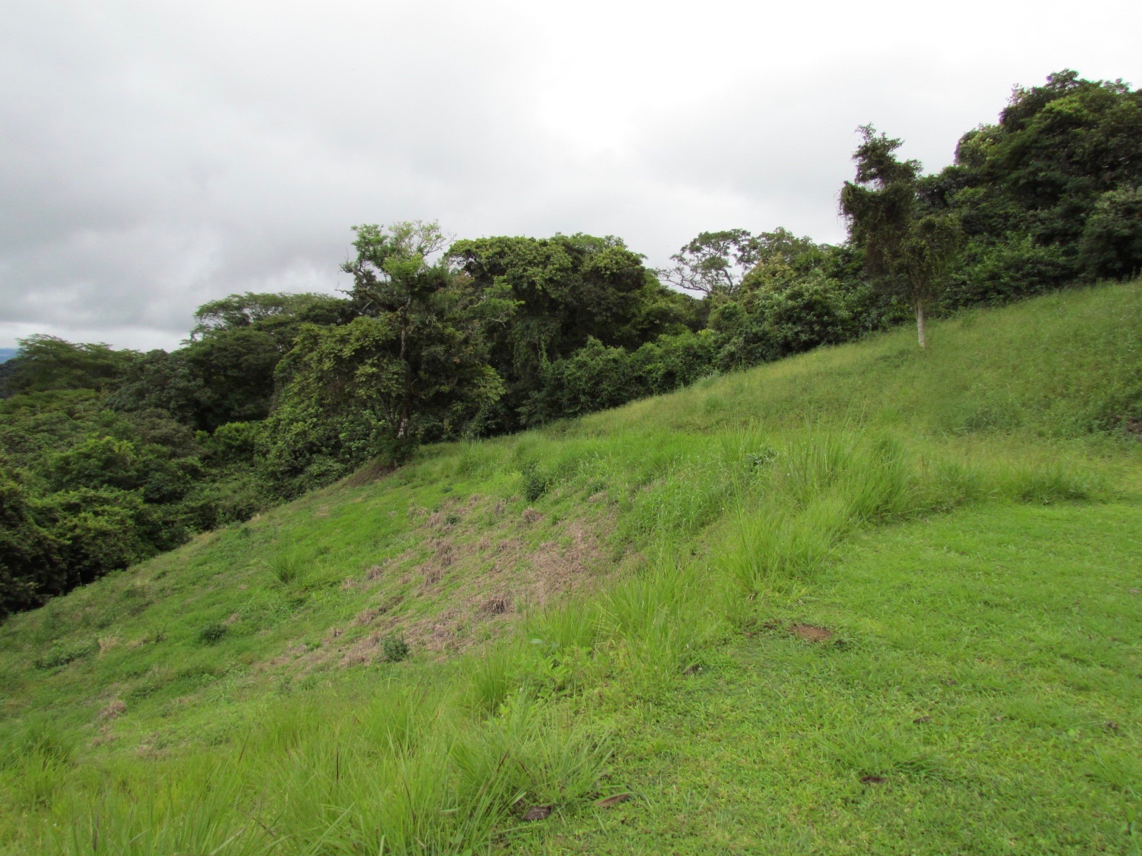 0 bed Land For Sale in Ciudad Colon, San Jose - thumb 5