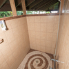  - Golfo Dulce Beachfront Eco-Lodge with Primary Rainforest