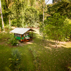  - Golfo Dulce Beachfront Eco-Lodge with Primary Rainforest