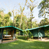  - Golfo Dulce Beachfront Eco-Lodge with Primary Rainforest