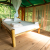  - Golfo Dulce Beachfront Eco-Lodge with Primary Rainforest