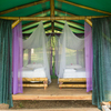  - Golfo Dulce Beachfront Eco-Lodge with Primary Rainforest