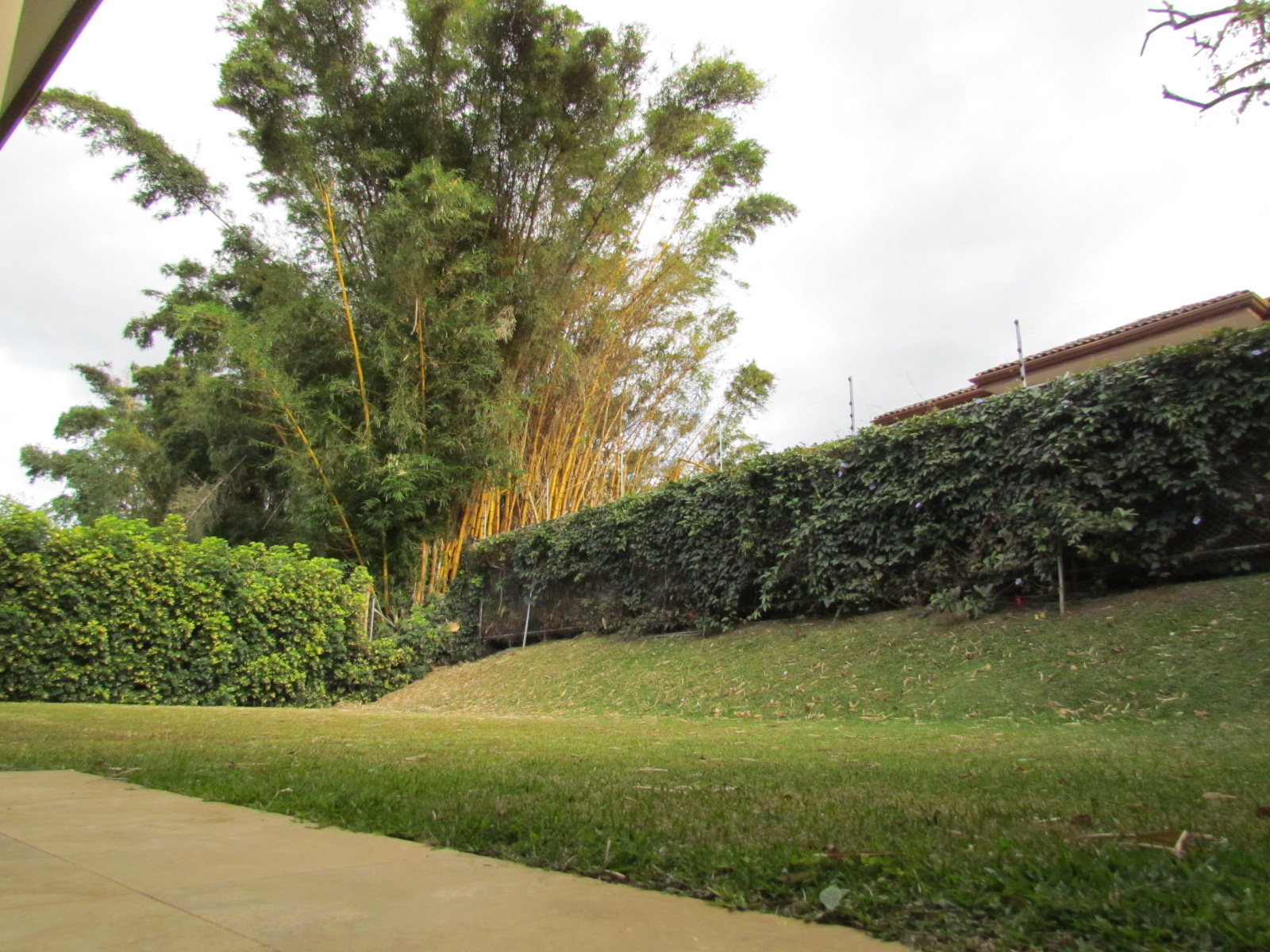 4 bed Single Family Homes For Sale in Escazu, San Jose - thumb 20