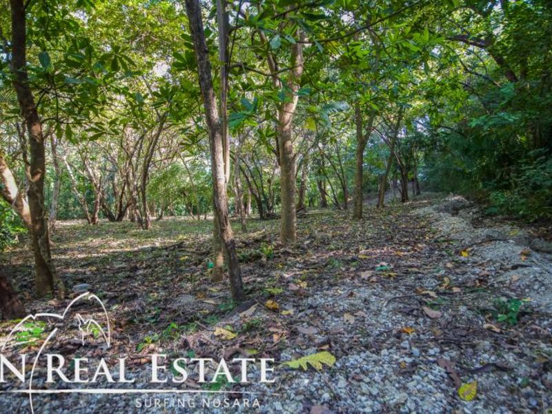 0 bed Land For Sale in Nosara, Guanacaste - 1