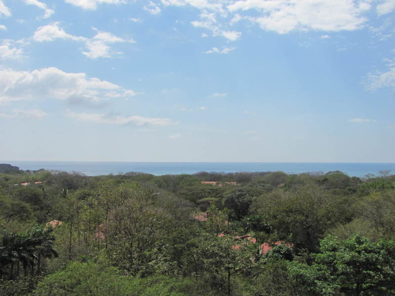 0 bed Land For Sale in Nosara, Guanacaste - 1