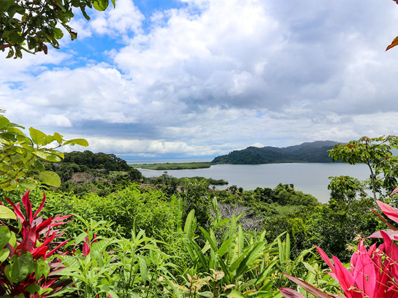 0 bed Land For Sale in Golfito, Puntarenas - 1